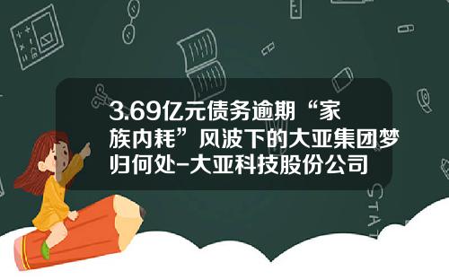 3.69亿元债务逾期“家族内耗”风波下的大亚集团梦归何处-大亚科技股份公司