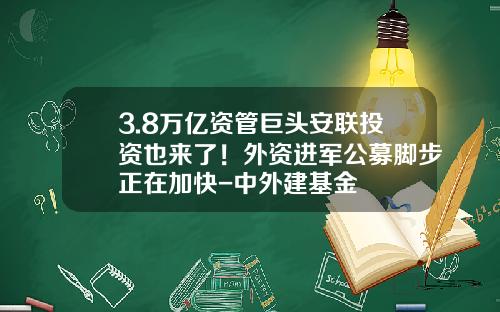 3.8万亿资管巨头安联投资也来了！外资进军公募脚步正在加快-中外建基金
