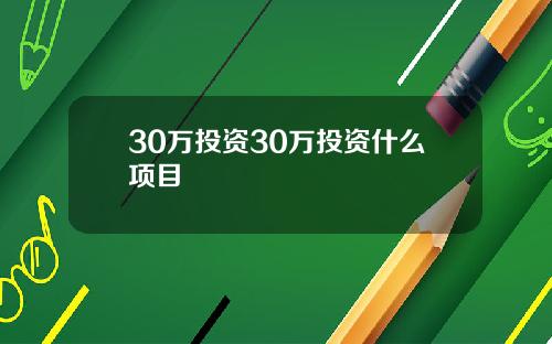 30万投资30万投资什么项目