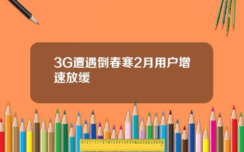3G遭遇倒春寒2月用户增速放缓