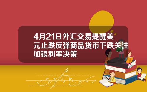 4月21日外汇交易提醒美元止跌反弹商品货币下跌关注加银利率决策