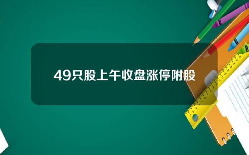 49只股上午收盘涨停附股