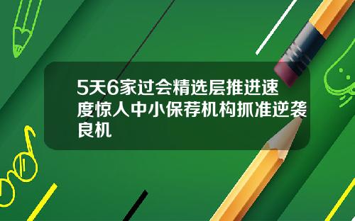 5天6家过会精选层推进速度惊人中小保荐机构抓准逆袭良机
