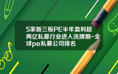 5家新三板PE半年盈利超两亿私募行业进入洗牌期-全球pe私募公司排名