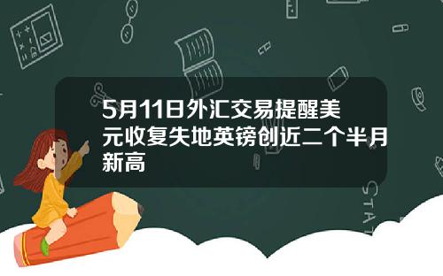 5月11日外汇交易提醒美元收复失地英镑创近二个半月新高