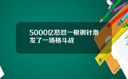 5000亿怒怼一根钢针激发了一场格斗战