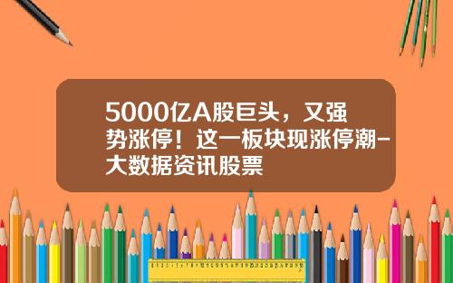 5000亿A股巨头，又强势涨停！这一板块现涨停潮-大数据资讯股票