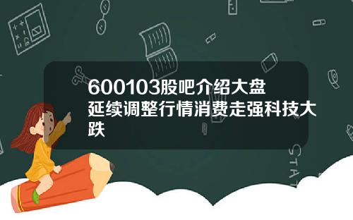 600103股吧介绍大盘延续调整行情消费走强科技大跌