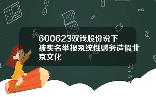600623双钱股份说下被实名举报系统性财务造假北京文化