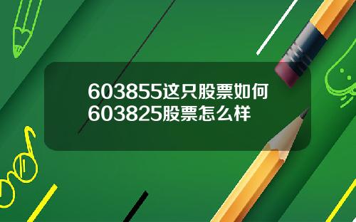 603855这只股票如何603825股票怎么样