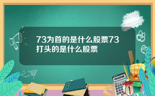 73为首的是什么股票73打头的是什么股票