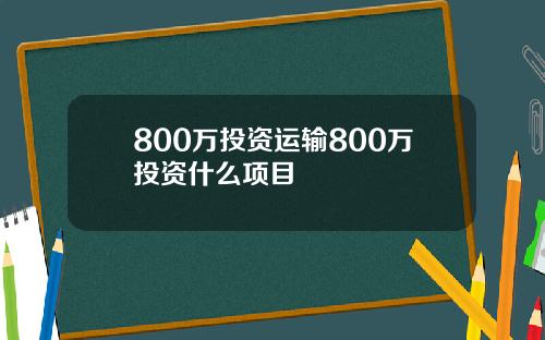 800万投资运输800万投资什么项目