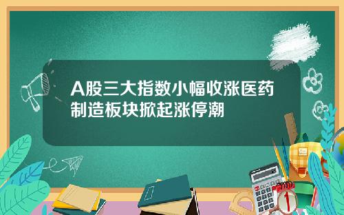 A股三大指数小幅收涨医药制造板块掀起涨停潮