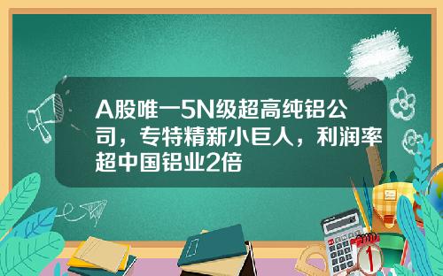 A股唯一5N级超高纯铝公司，专特精新小巨人，利润率超中国铝业2倍