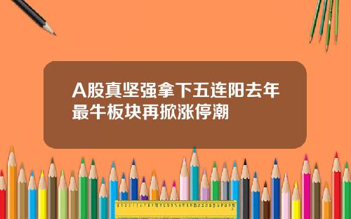 A股真坚强拿下五连阳去年最牛板块再掀涨停潮