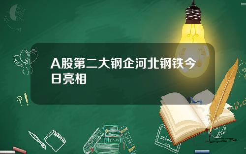 A股第二大钢企河北钢铁今日亮相