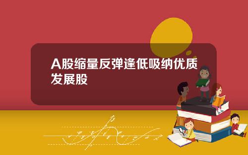 A股缩量反弹逢低吸纳优质发展股