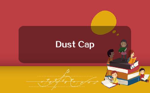 Dust Cap