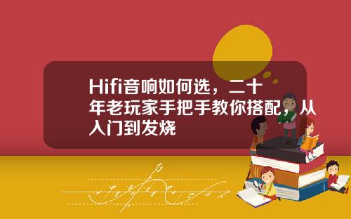 Hifi音响如何选，二十年老玩家手把手教你搭配，从入门到发烧