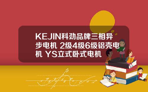 KEJIN科劲品牌三相异步电机 2级4级6级铝壳电机 YS立式卧式电机