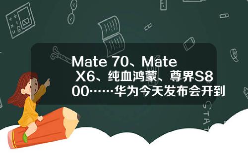 Mate 70、Mate X6、纯血鸿蒙、尊界S800……华为今天发布会开到我心趴上了