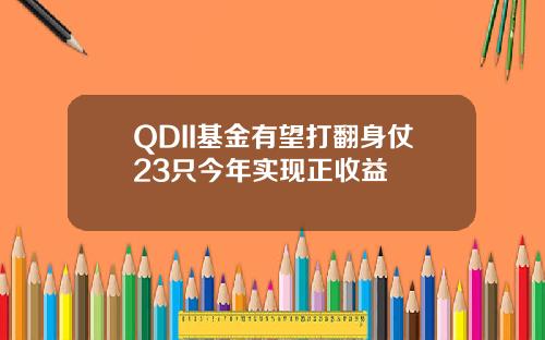 QDII基金有望打翻身仗23只今年实现正收益