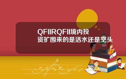 QFIIRQFII境内投资扩围来的是活水还是空头