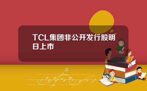 TCL集团非公开发行股明日上市
