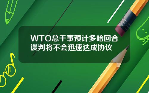 WTO总干事预计多哈回合谈判将不会迅速达成协议