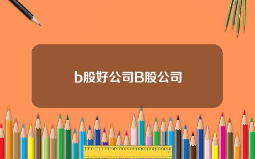 b股好公司B股公司