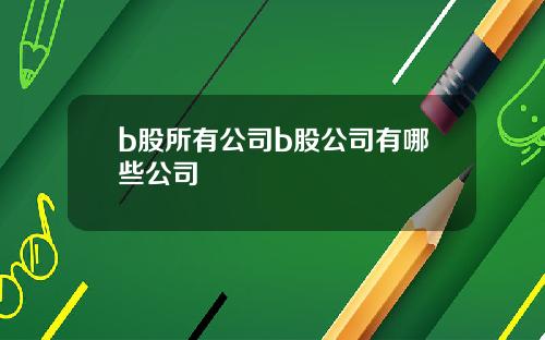 b股所有公司b股公司有哪些公司