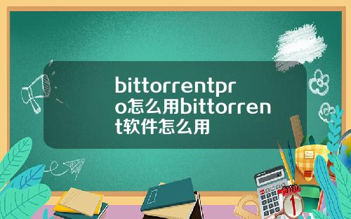 bittorrentpro怎么用bittorrent软件怎么用