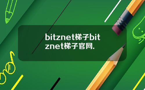 bitznet梯子bitznet梯子官网.