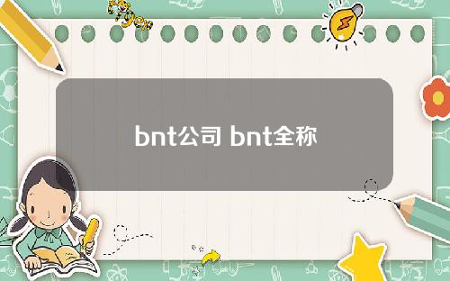 bnt公司 bnt全称