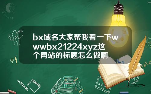 bx域名大家帮我看一下wwwbx21224xyz这个网站的标题怎么做啊