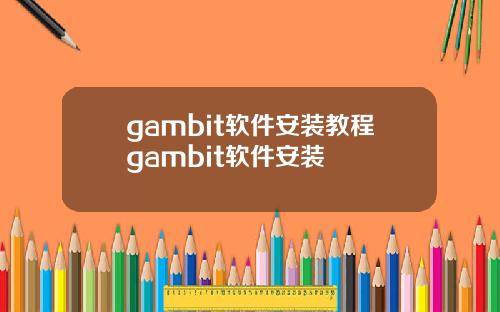 gambit软件安装教程gambit软件安装