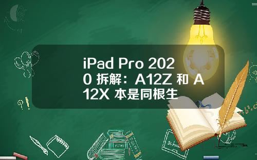 iPad Pro 2020 拆解：A12Z 和 A12X 本是同根生