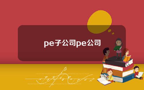 pe子公司pe公司