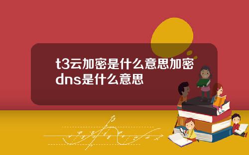 t3云加密是什么意思加密dns是什么意思
