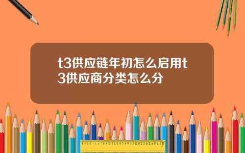 t3供应链年初怎么启用t3供应商分类怎么分