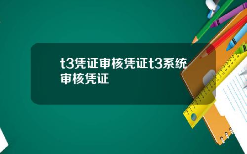 t3凭证审核凭证t3系统审核凭证
