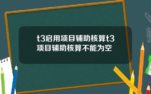 t3启用项目辅助核算t3项目辅助核算不能为空