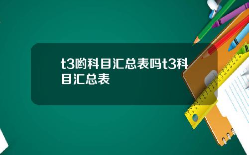 t3哟科目汇总表吗t3科目汇总表