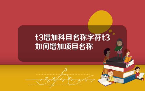 t3增加科目名称字符t3如何增加项目名称