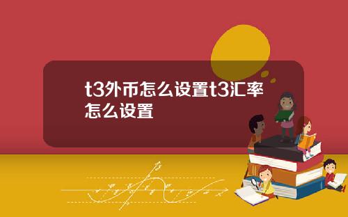 t3外币怎么设置t3汇率怎么设置