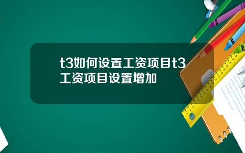 t3如何设置工资项目t3工资项目设置增加