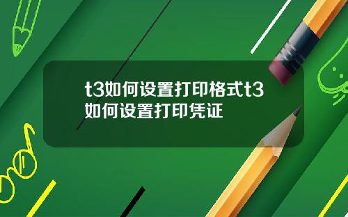 t3如何设置打印格式t3如何设置打印凭证