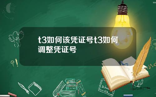 t3如何该凭证号t3如何调整凭证号
