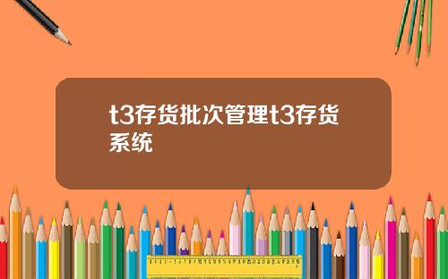 t3存货批次管理t3存货系统