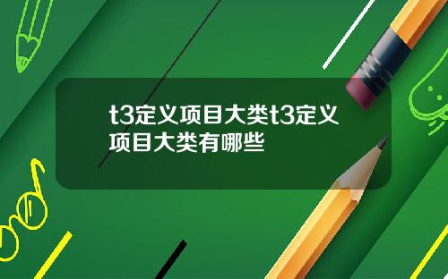 t3定义项目大类t3定义项目大类有哪些